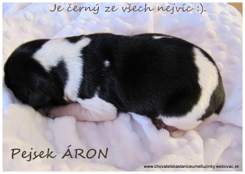 Aron